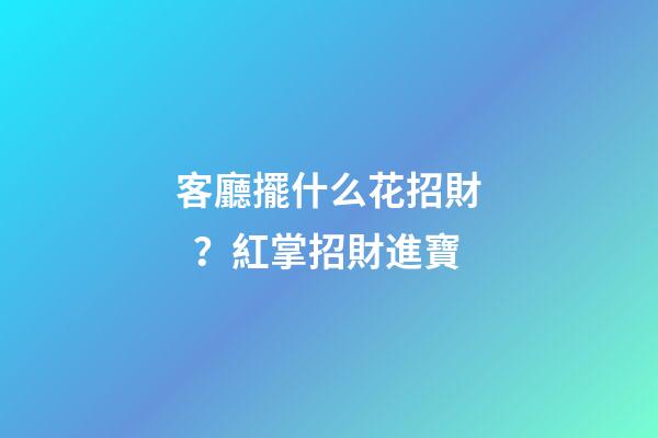 客廳擺什么花招財？紅掌招財進寶